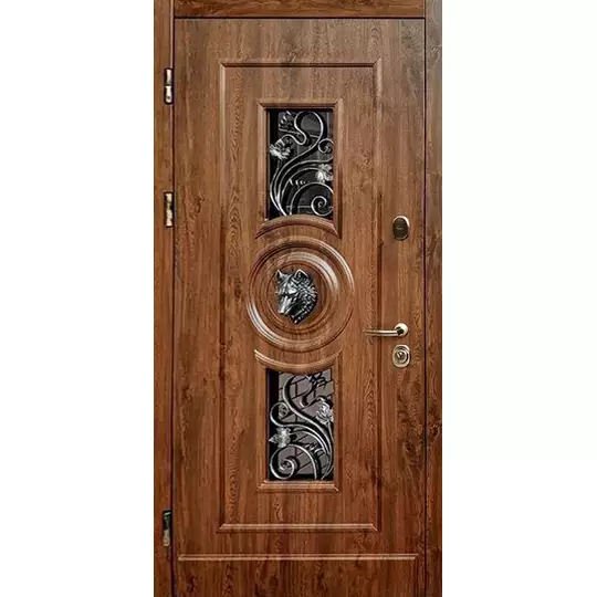 металлическая дверь с ковкой